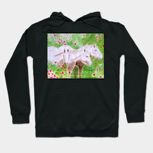 Pretty Ponies Hoodie